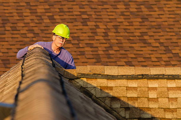 Best Roof Maintenance Services  in Escatawpa, MS
