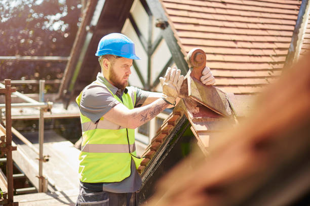 Best Roof Gutter Cleaning  in Escatawpa, MS
